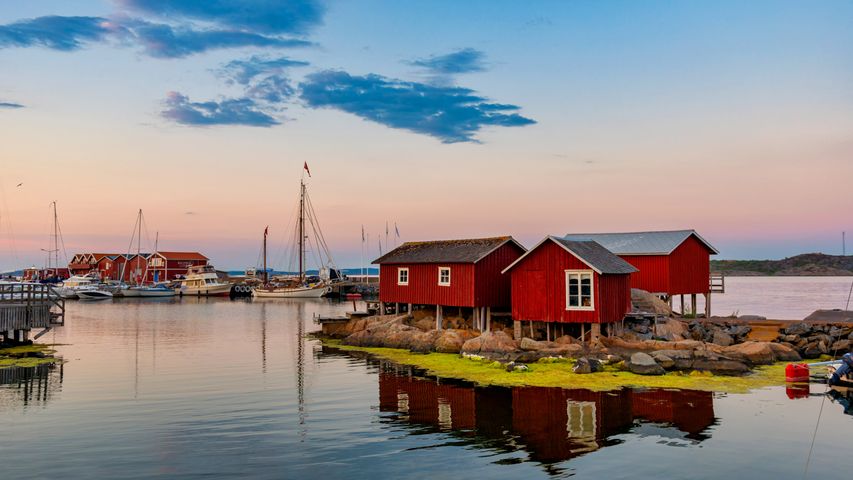 ケロ・クニプラ島, スウェーデン