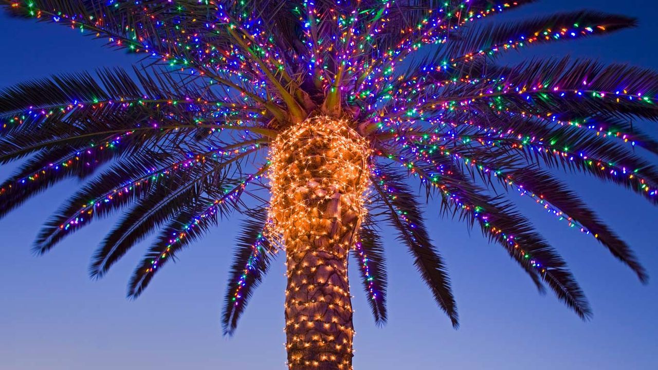｢テメキュラのイルミネーション｣アメリカ, カリフォルニア州