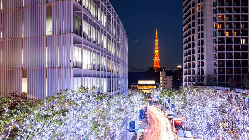 ｢けやき坂のイルミネーションと東京タワー｣東京, 六本木