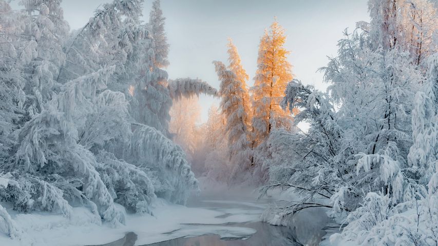 冬のオイミャコン, ロシア サハ