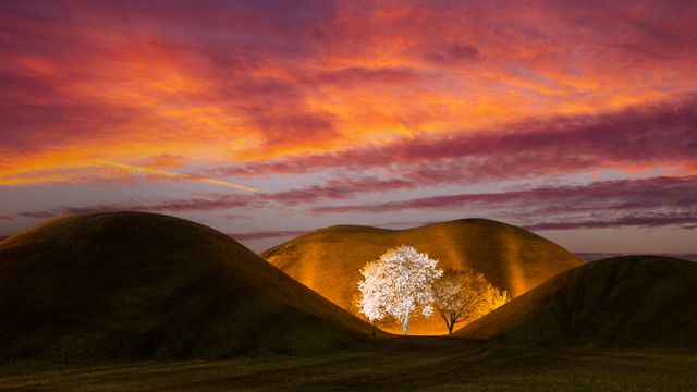 「壁のない博物館」