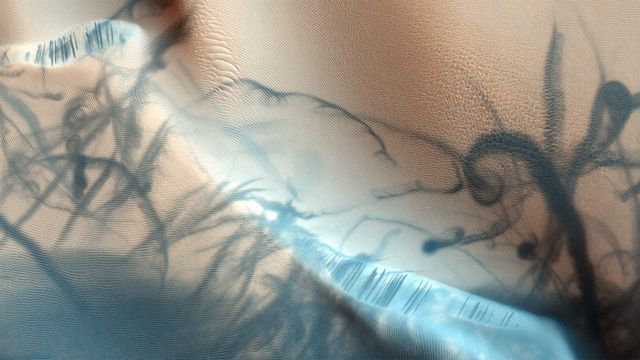 「ダスト・デビルの痕跡」火星