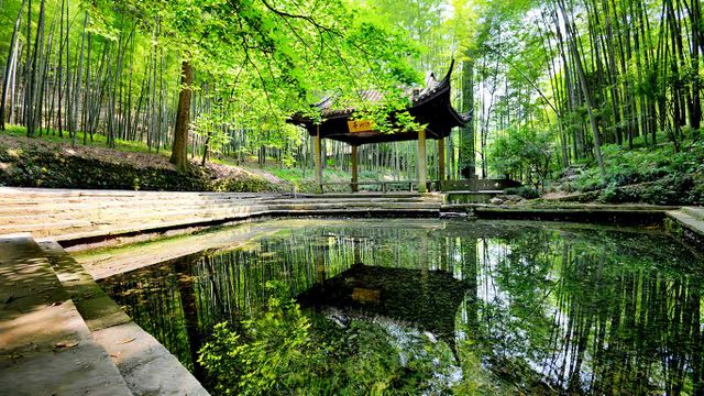 「雲棲竹径」中国, 浙江省
