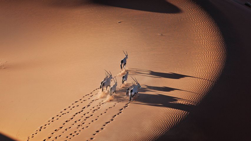 急ぎ足