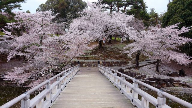 奈良公園, 奈良県 奈良市