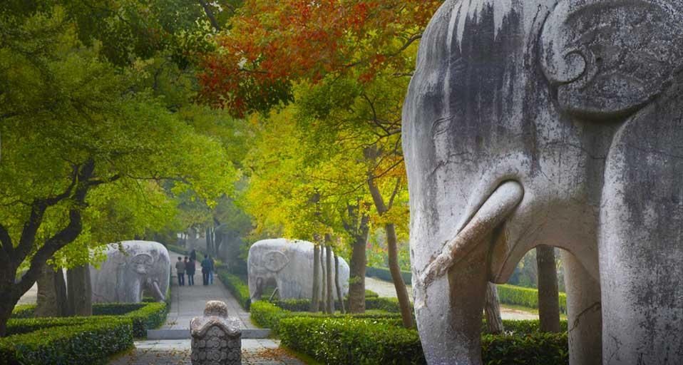 ｢明孝陵｣中国, 江蘇省, 南京, 紫金山