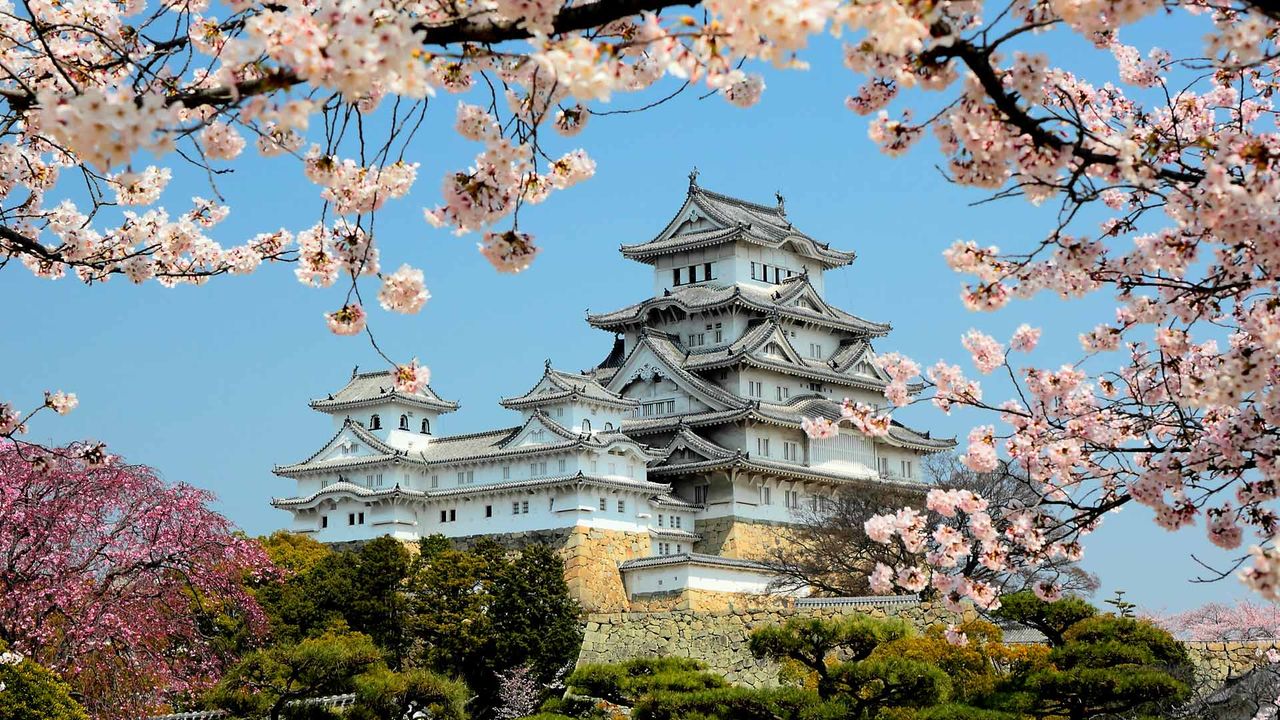 ベトナム 米絵 城 ライスピクチャー 日本画 風景画 姫路城  桜 7D65F77B-C8F0-4230-AD12-