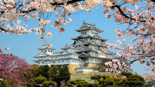 ベトナム 米絵 城 ライスピクチャー 日本画 風景画 姫路城  桜 白鷺城と桜の風景 姫路城 兵庫の風景 | JAPAN WEB MAGAZINE