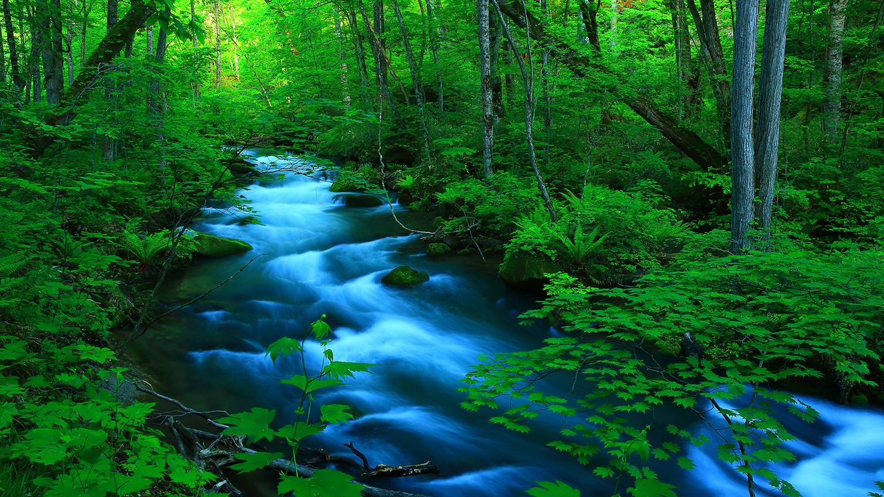 奥入瀬渓流, 青森県 ・ Bing日替わり壁紙 ・ 無料ダウンロード