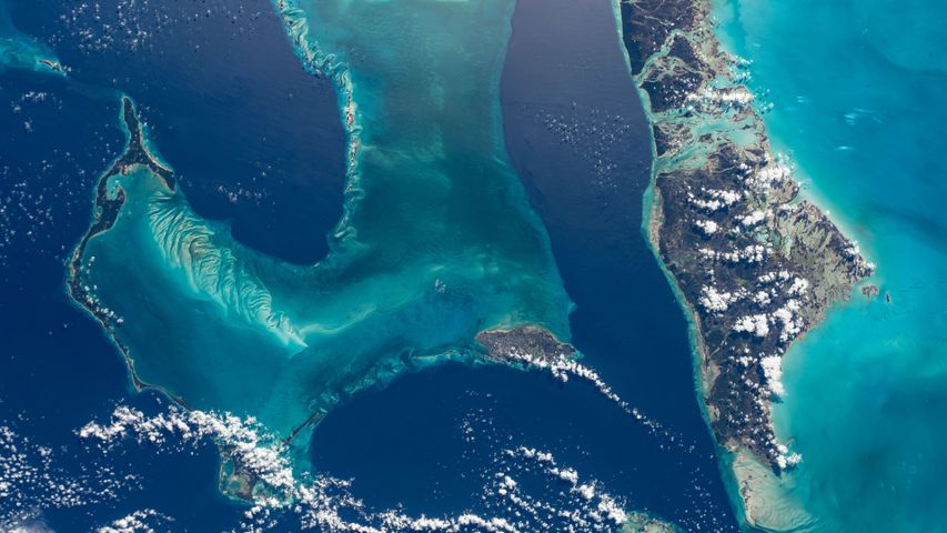 バハマ諸島, バハマ