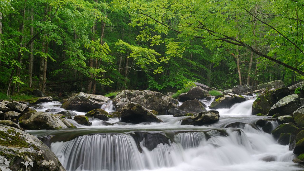 グレート・スモーキー山脈国立公園, 米国 テネシー州