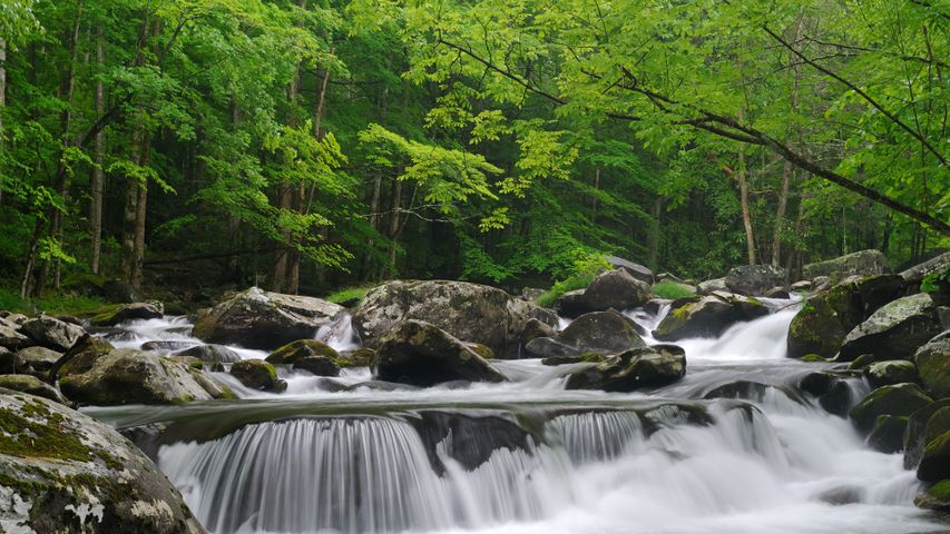 グレート・スモーキー山脈国立公園, 米国 テネシー州