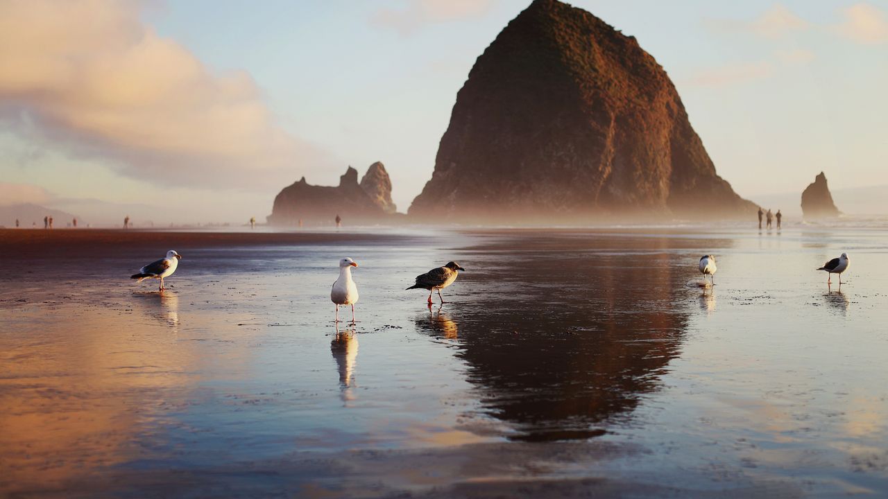 針と干し草の山 - Windows スポットライト壁紙 | 高画質4Kダウンロード, image size:1280x720