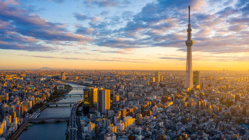 1400 万の人口を抱える大都市, 東京