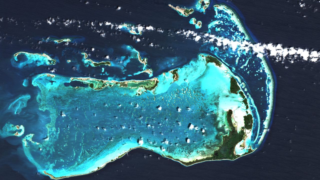 カリブ海の楽園