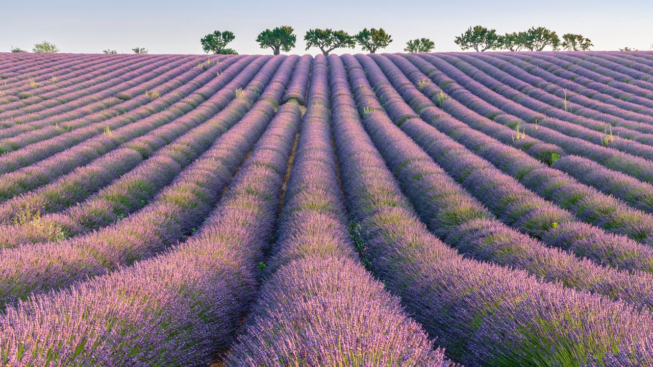 ヴァランソール高原, フランス