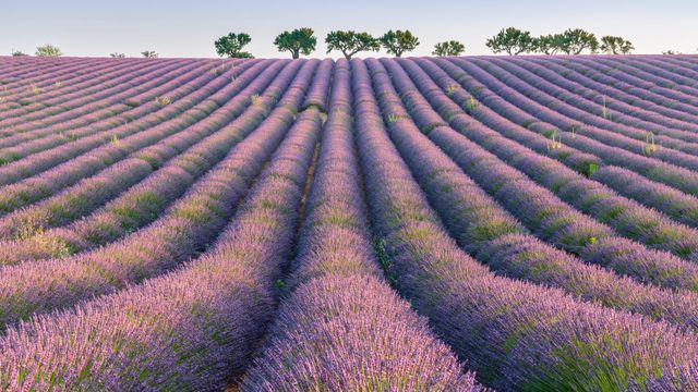 ヴァランソール高原, フランス