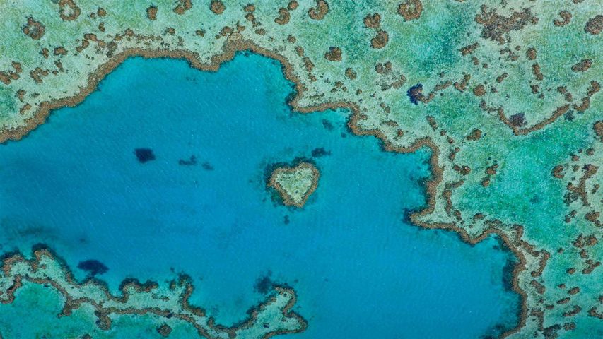 ｢グレートバリアリーフのハートの島｣オーストラリア, クイーンズランド州