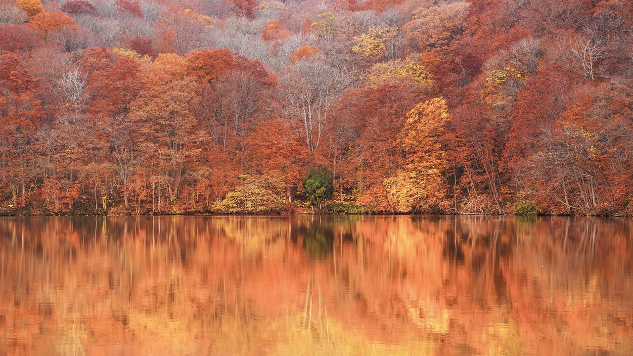 蔦沼, 青森県 十和田市
