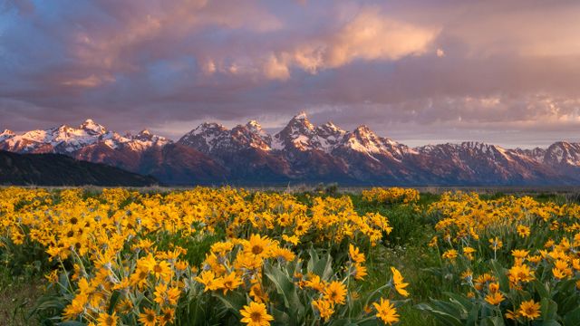 グランド・ティトン山とバルサムルート, 米国 ワイオミング州