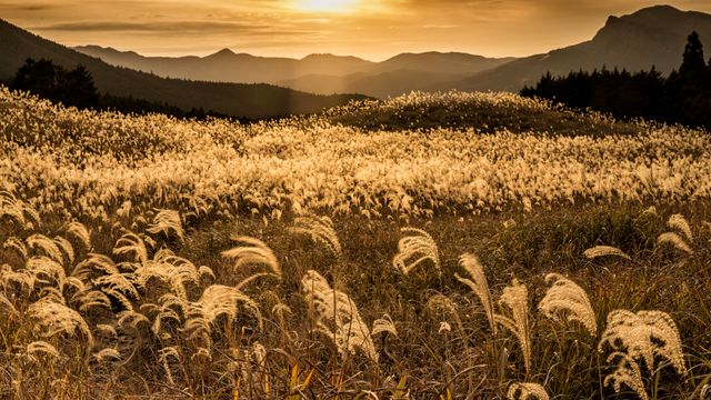 「曽爾高原の夕焼け」奈良県