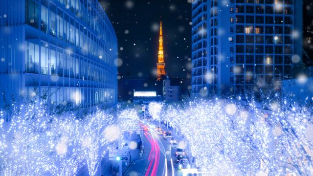 六本木けやき坂のイルミネーション, 東京