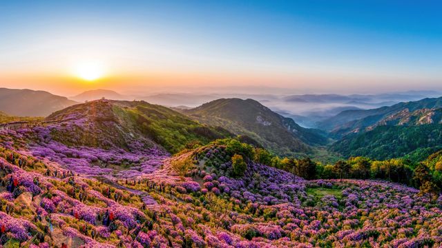黄梅山, 韓国