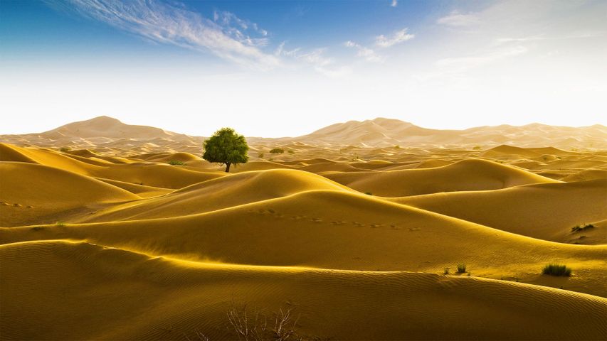｢オマーン、ドバイ国境のルブアルハリ砂漠｣