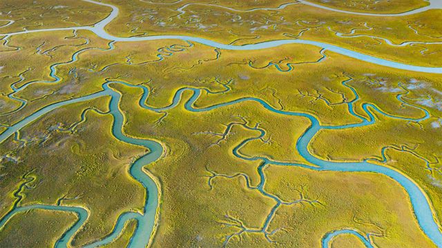 「モクホーン島州野生動物管理地域」米国, バージニア州