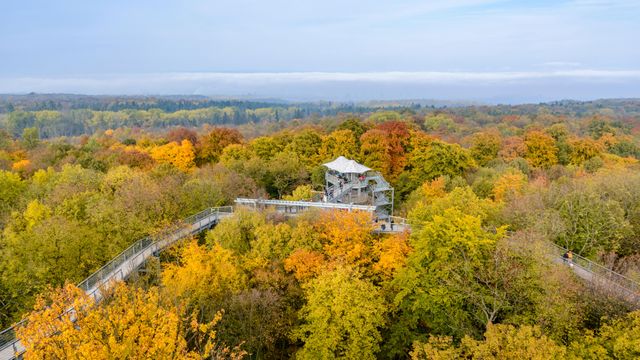 「ハイニッヒ国立公園の遊歩道」ドイツ, テューリンゲン州