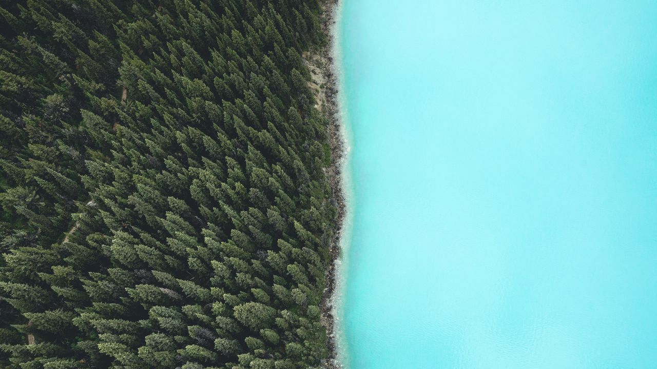 上空からの森と湖, BC 州