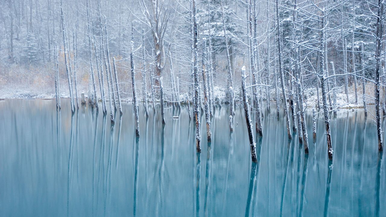 青い池, 北海道 美瑛町