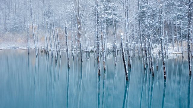 青い池, 北海道 美瑛町