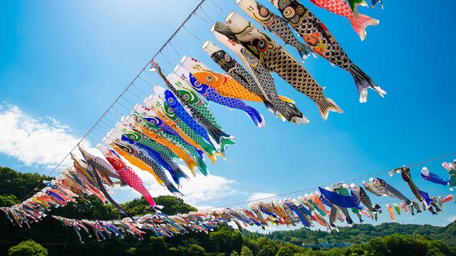 「泳げ鯉のぼり相模川」神奈川, 相模原市