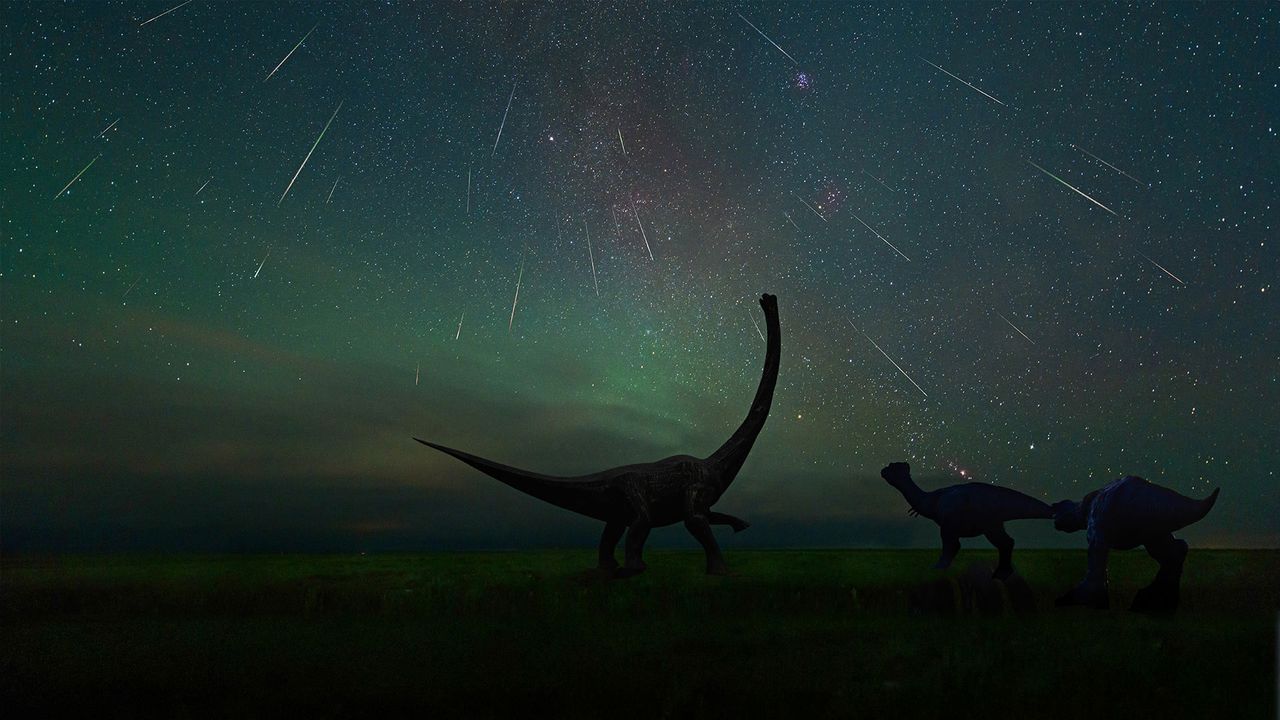 ｢エレンホト恐竜博物館から見たペルセウス座流星群｣中国, 内モンゴル