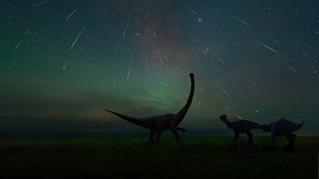 「エレンホト恐竜博物館から見たペルセウス座流星群」中国, 内モンゴル
