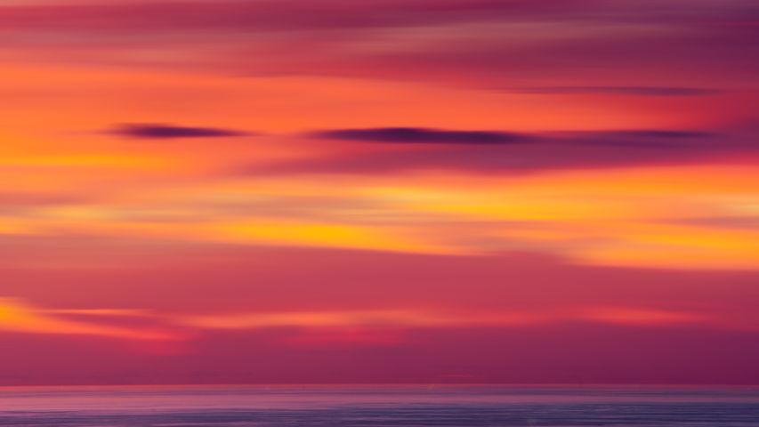 絵画、それとも写真?