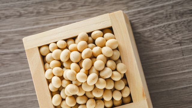 枡いっぱいの節分の福豆