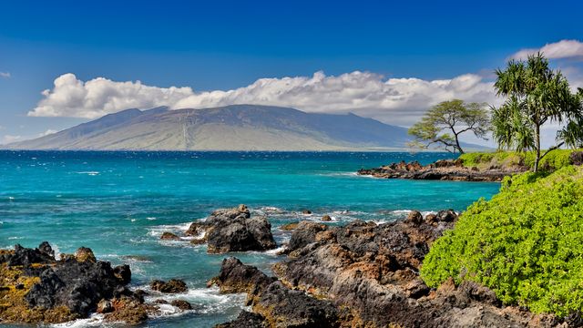 青い海、そよぐ風