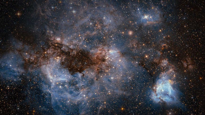 ｢大マゼラン雲｣NASA, ハッブル宇宙望遠鏡