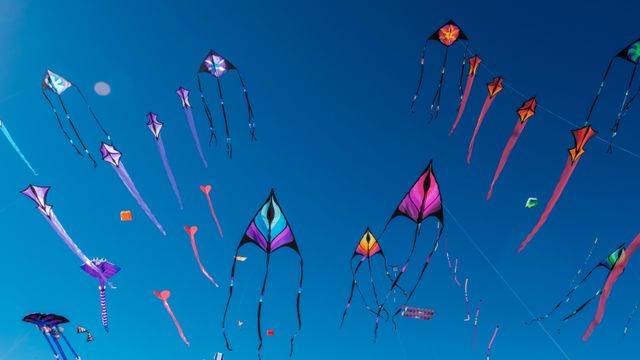 アデレードの空に舞うカイト, オーストラリア