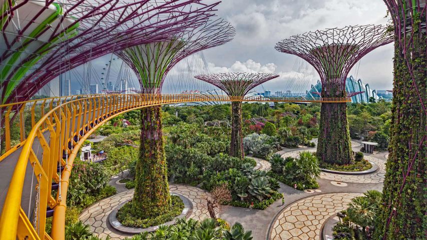 ｢スーパーツリー・グローブ｣シンガポール, ガーデンズ・バイ・ザ・ベイ