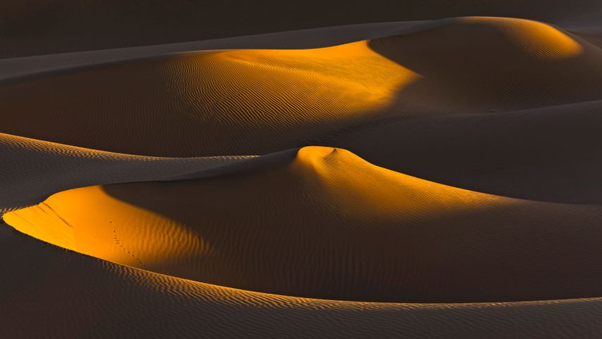 サハラ砂漠の砂丘群, アルジェリア