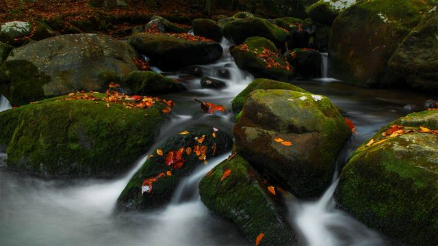「ロアリング・フォーク」米国テネシー州, グレート・スモーキー山脈国立公園