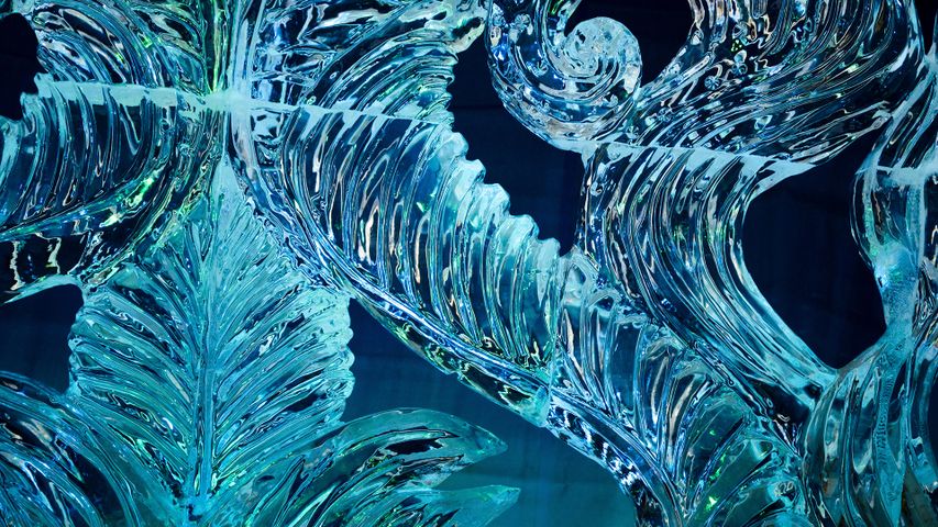 ウィンタールードの氷の彫刻, カナダ オタワ