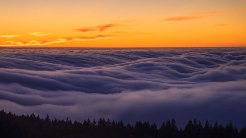 空, 屋外, 日没, クラウド, 風景, 日の出, 自然