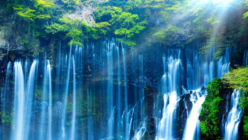 ｢白糸の滝｣静岡, 富士宮市