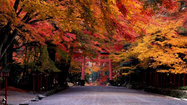 「日吉大社」滋賀, 大津市