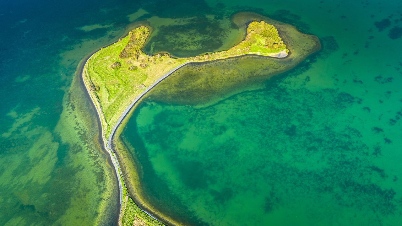 フック状の緑の砂州，ミーヴァトン湖，アイスランド