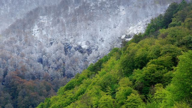ムニエージョス生物圏保護区, スペイン